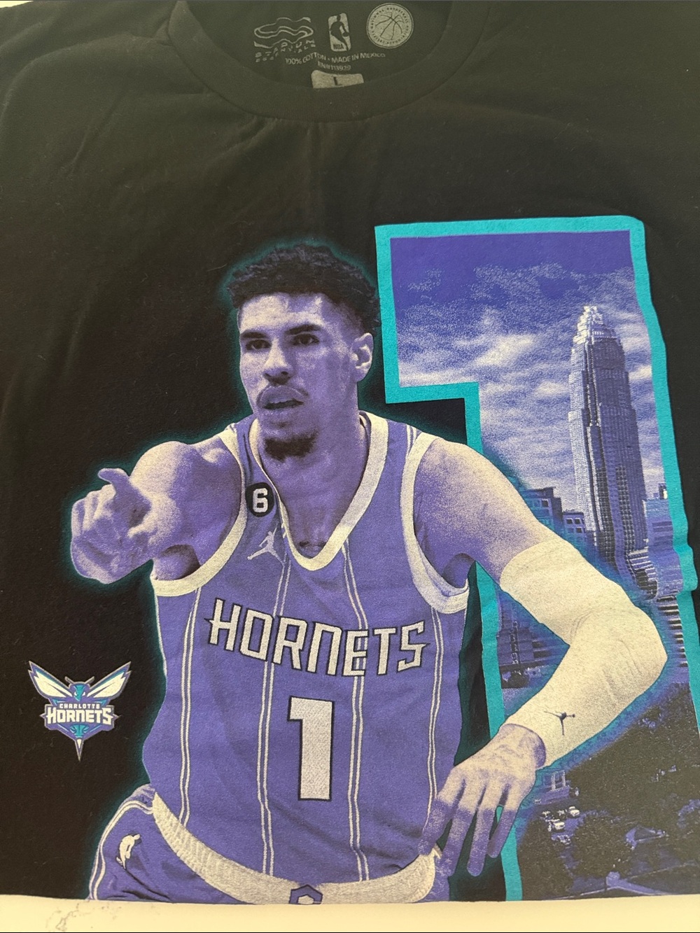 NBA Charlotte Hornets LaMelo Ball #1 Graphic Tee - Black/Purple/Teal